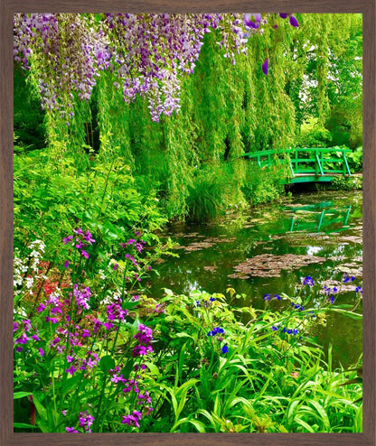 Monet's Water Garden - Fine Art