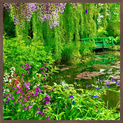 Monet's Water Garden - Fine Art