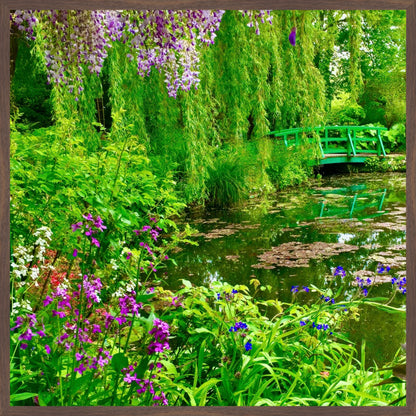 Monet's Water Garden - Fine Art