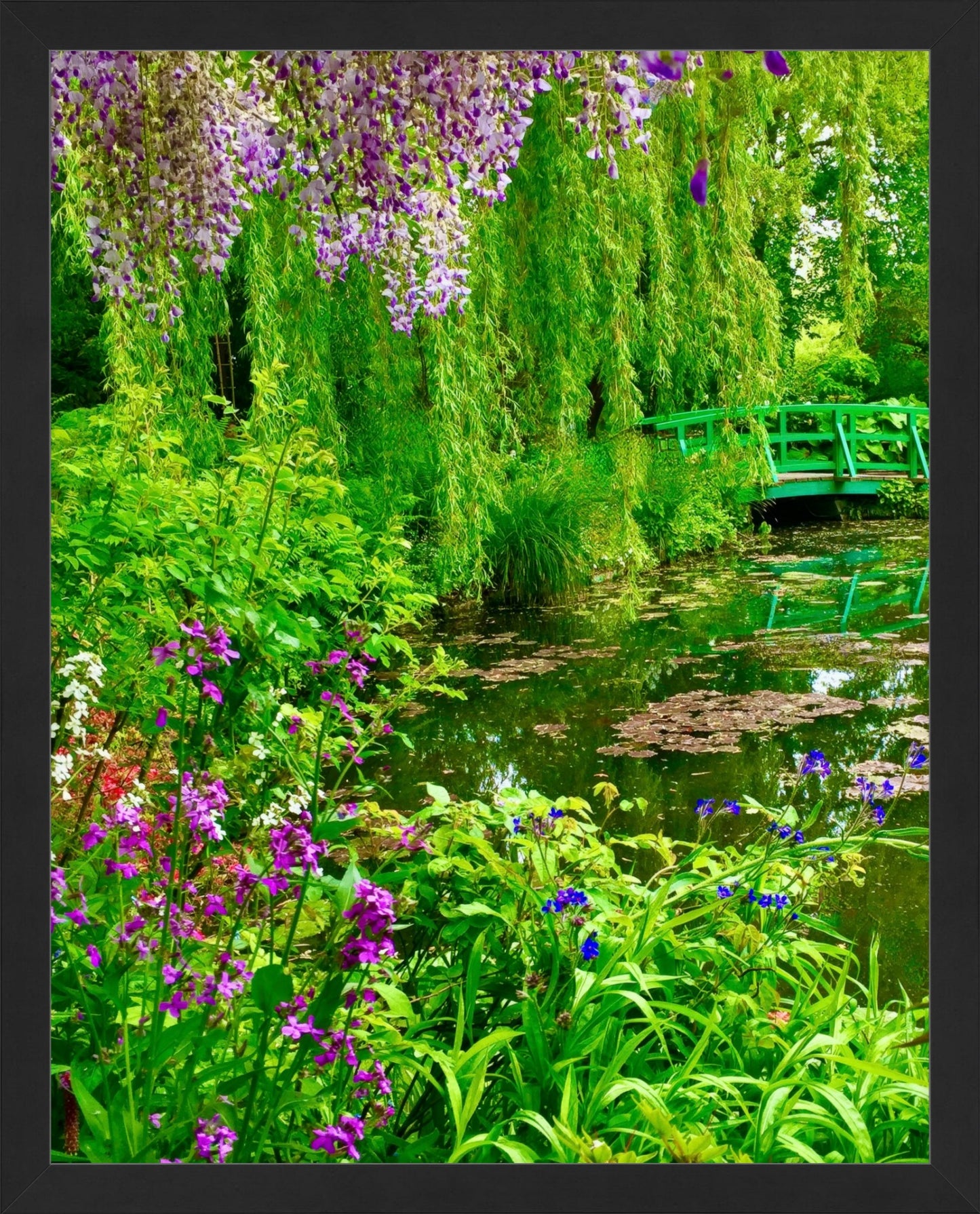 Monet's Water Garden - Fine Art
