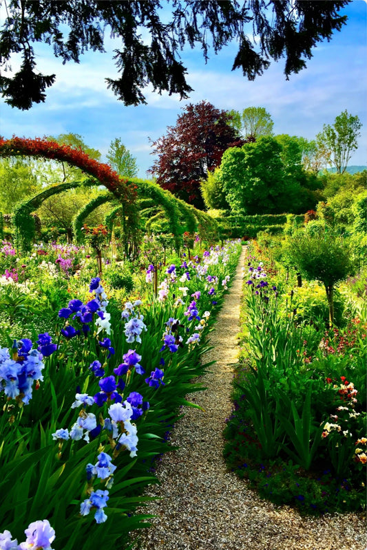 Path of Irises - Metal