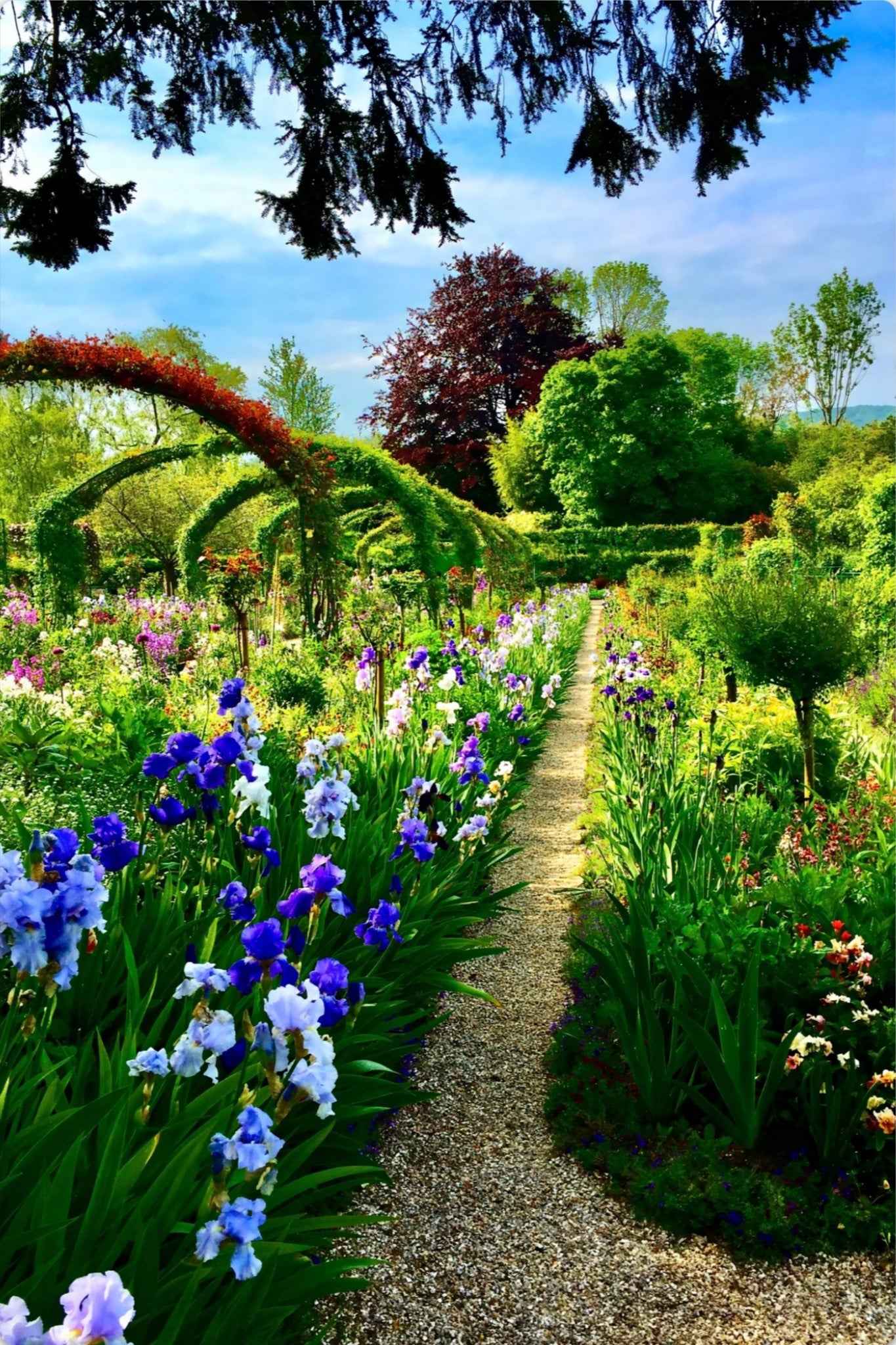 Path of Irises - Metal