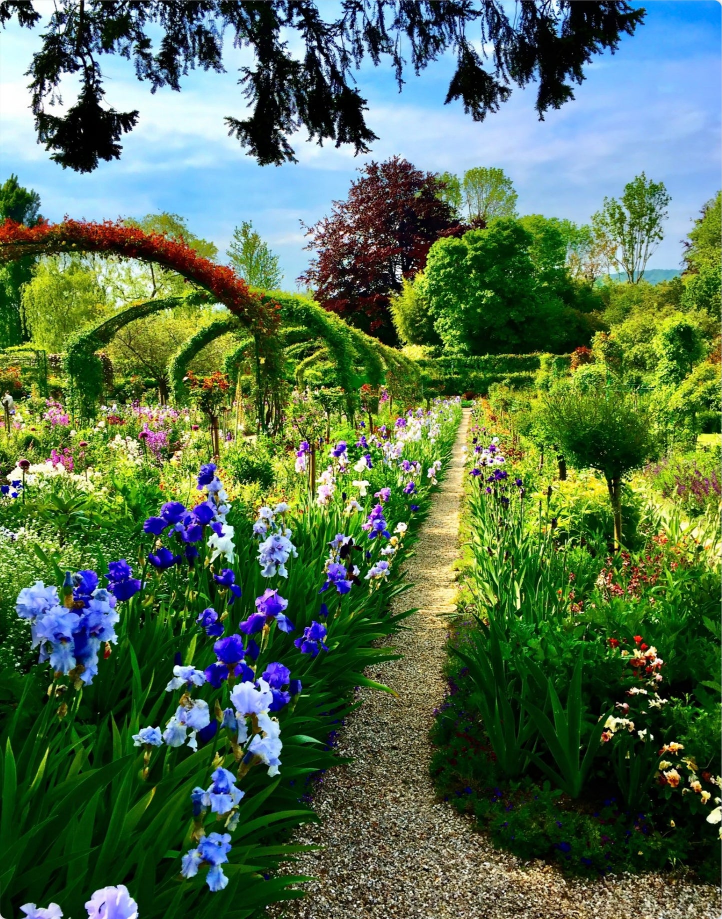 Path of Irises - Metal