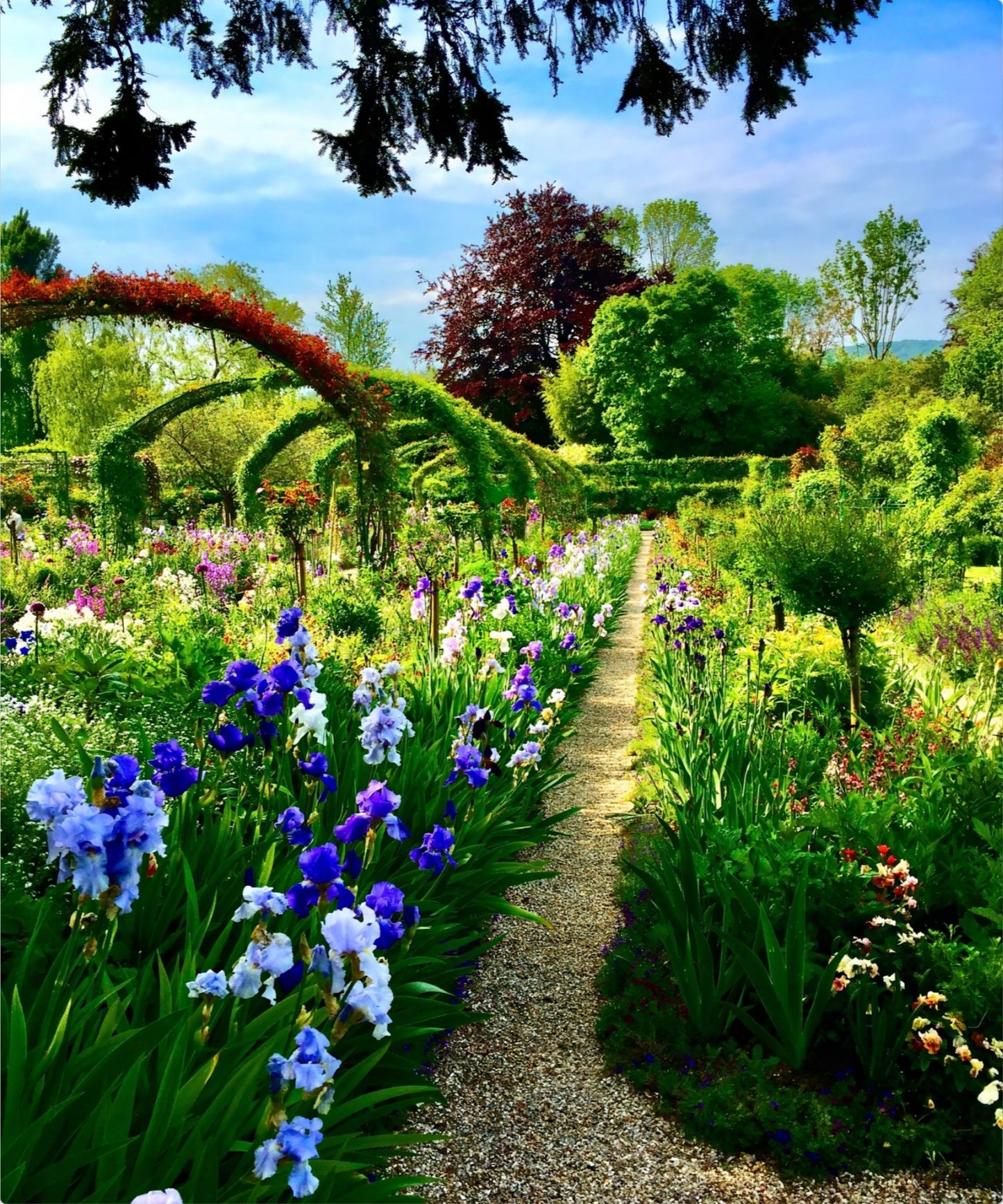 Path of Irises - Metal