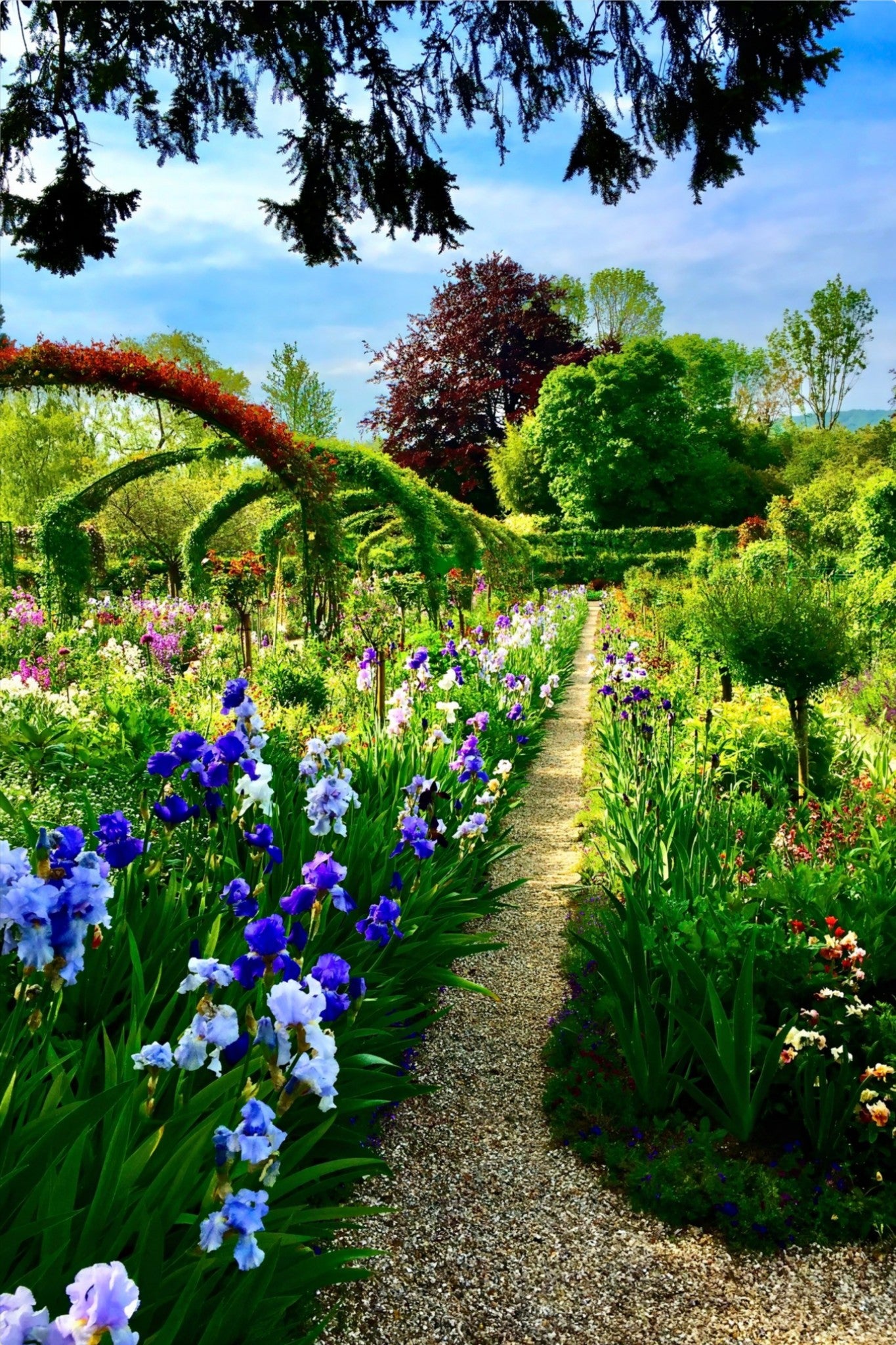 Path of Irises - Metal