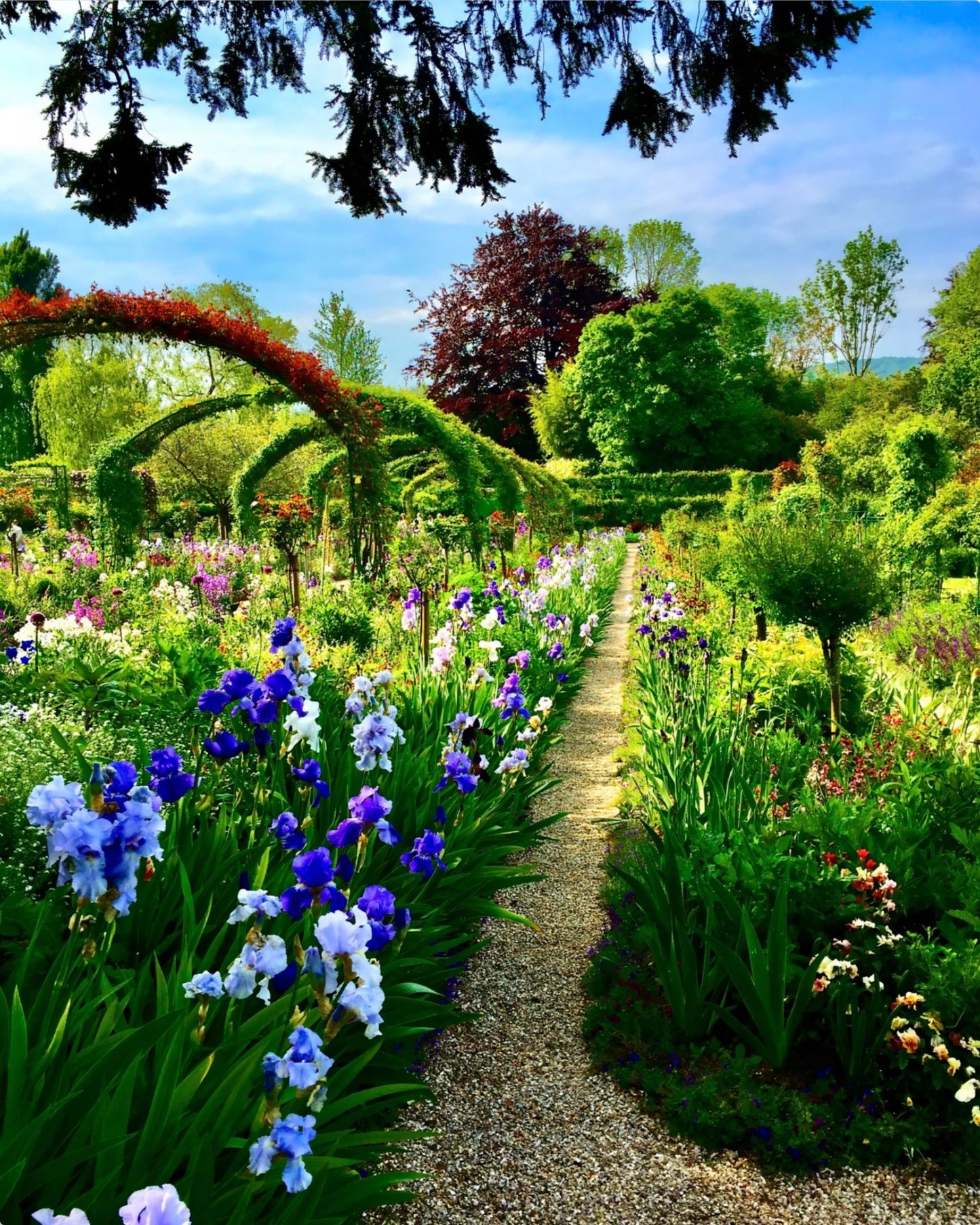 Path of Irises - Metal