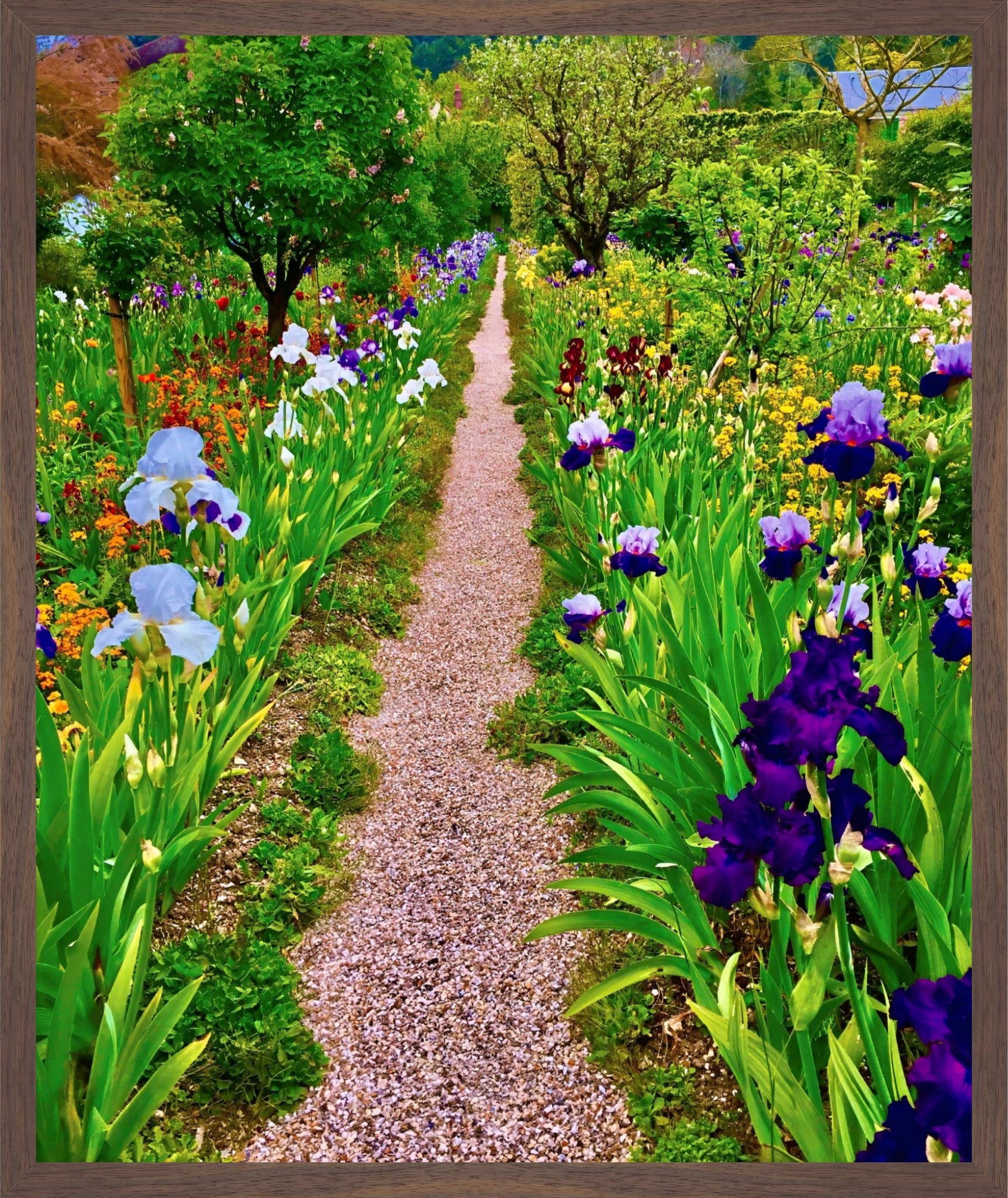 The Iris Parade - Fine Art