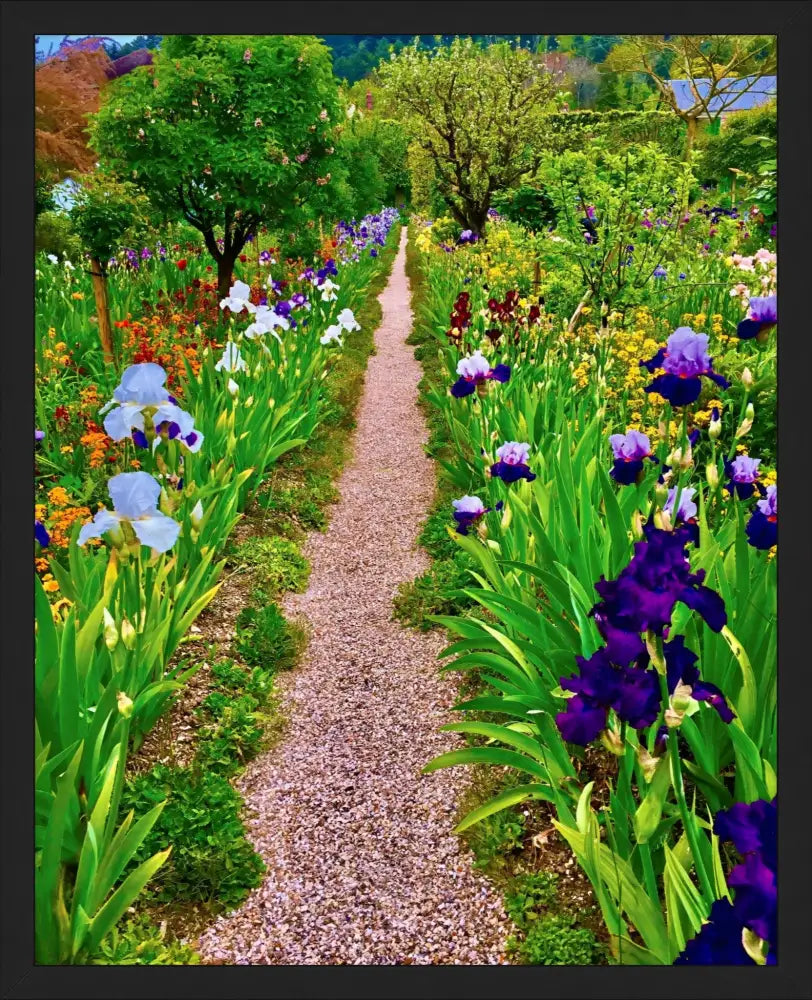 In Claude Monet's Garden: The Iris Parade - Fine Art