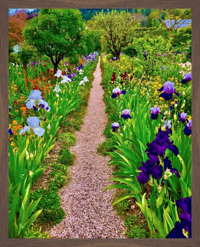 In Claude Monet's Garden: The Iris Parade - Fine Art