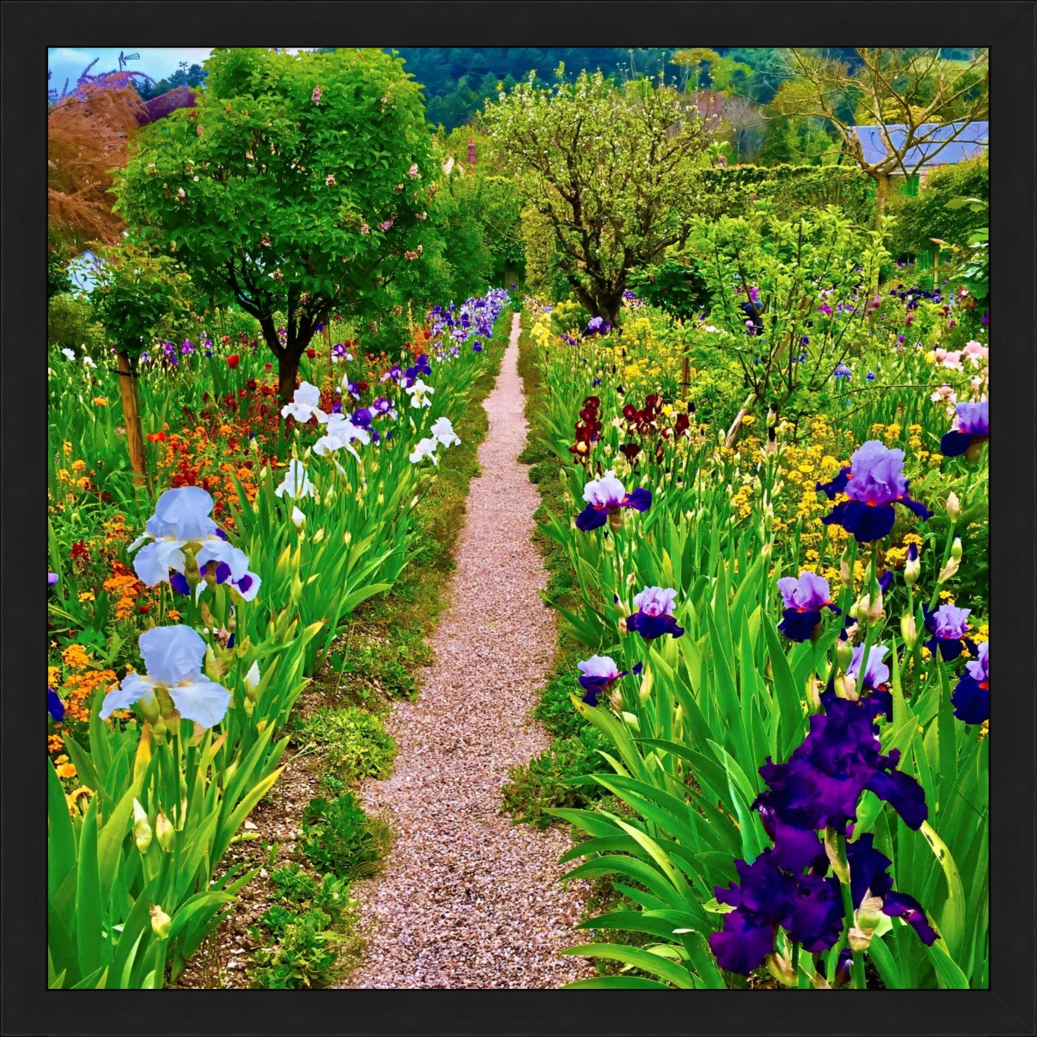 The Iris Parade - Fine Art