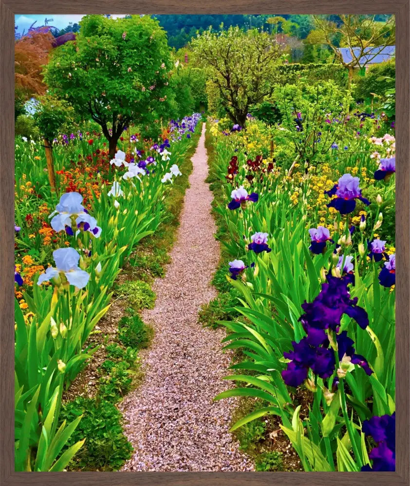 In Claude Monet's Garden: The Iris Parade - Fine Art