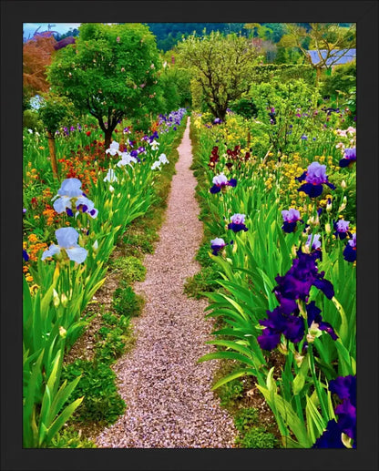 In Claude Monet's Garden: The Iris Parade - Fine Art