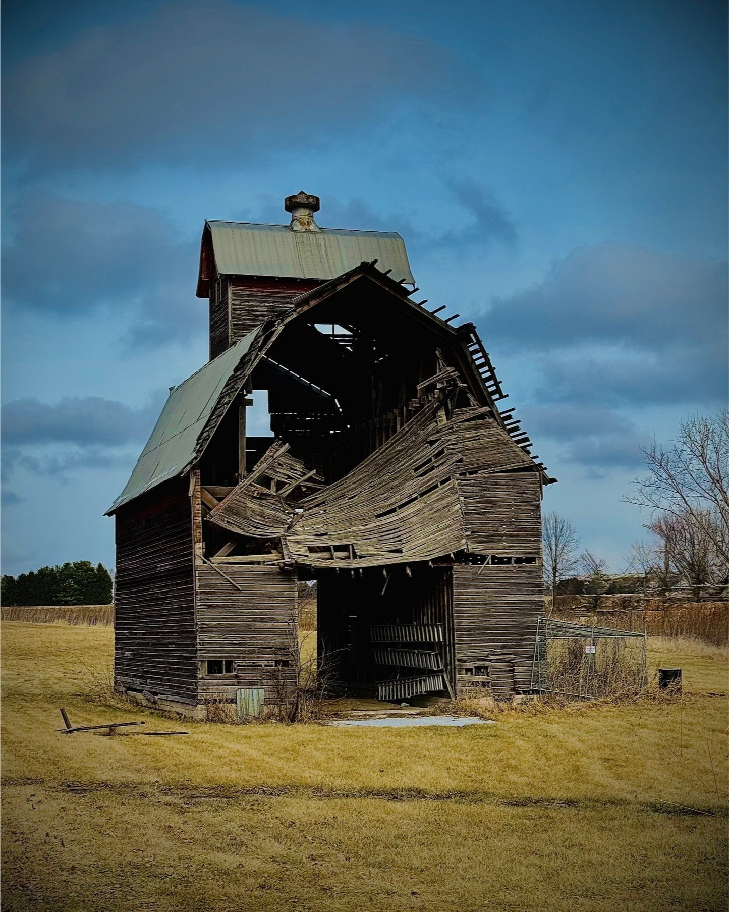 Fallen. Forgotten.  - Canvas