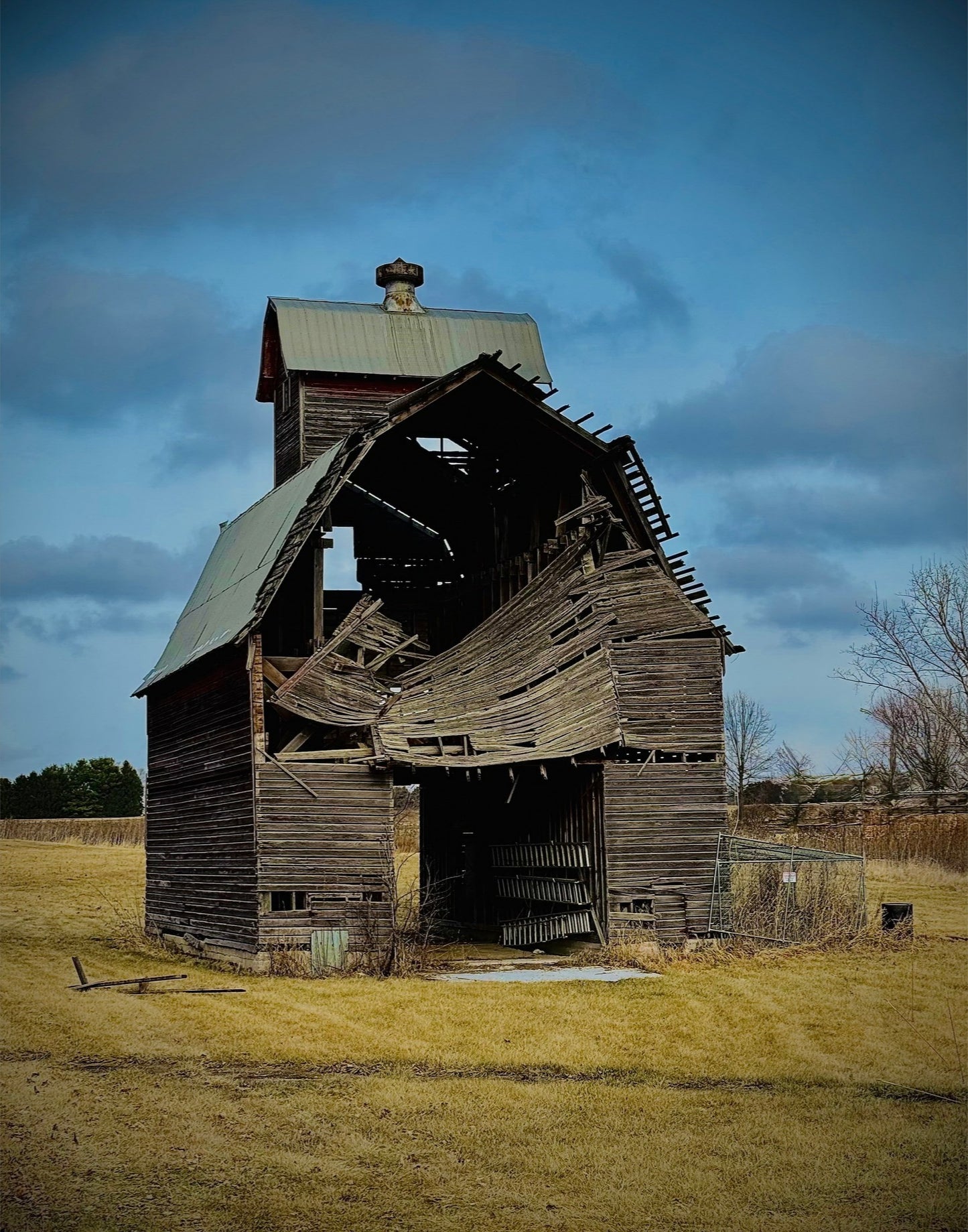 Fallen. Forgotten. - Fine Art