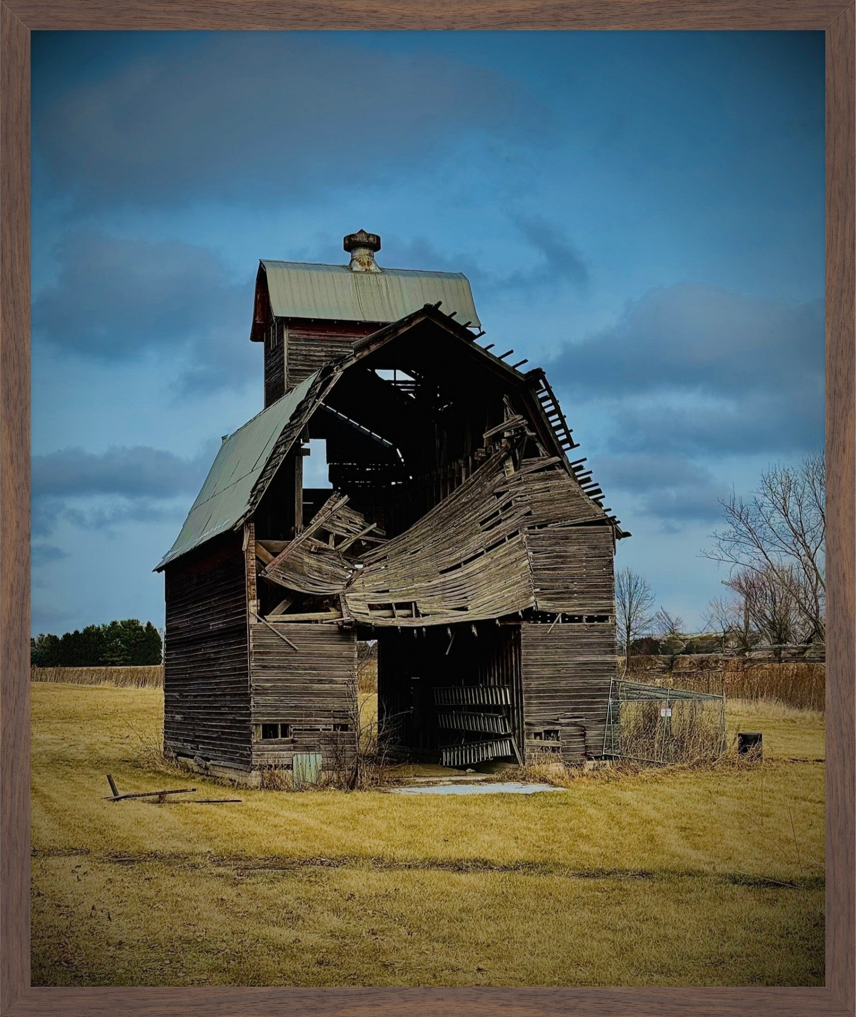 Fallen. Forgotten. - Fine Art