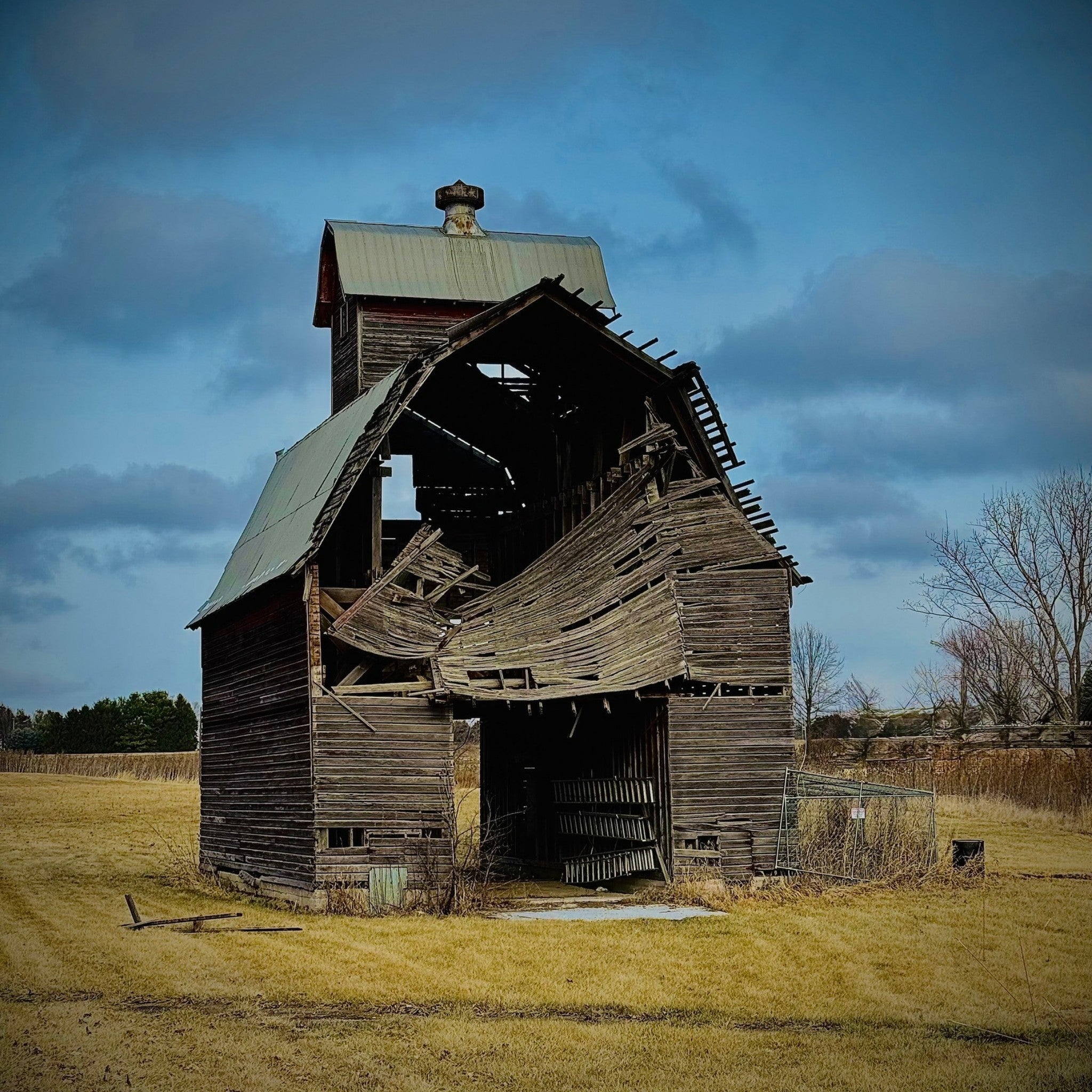 Fallen. Forgotten. - Fine Art