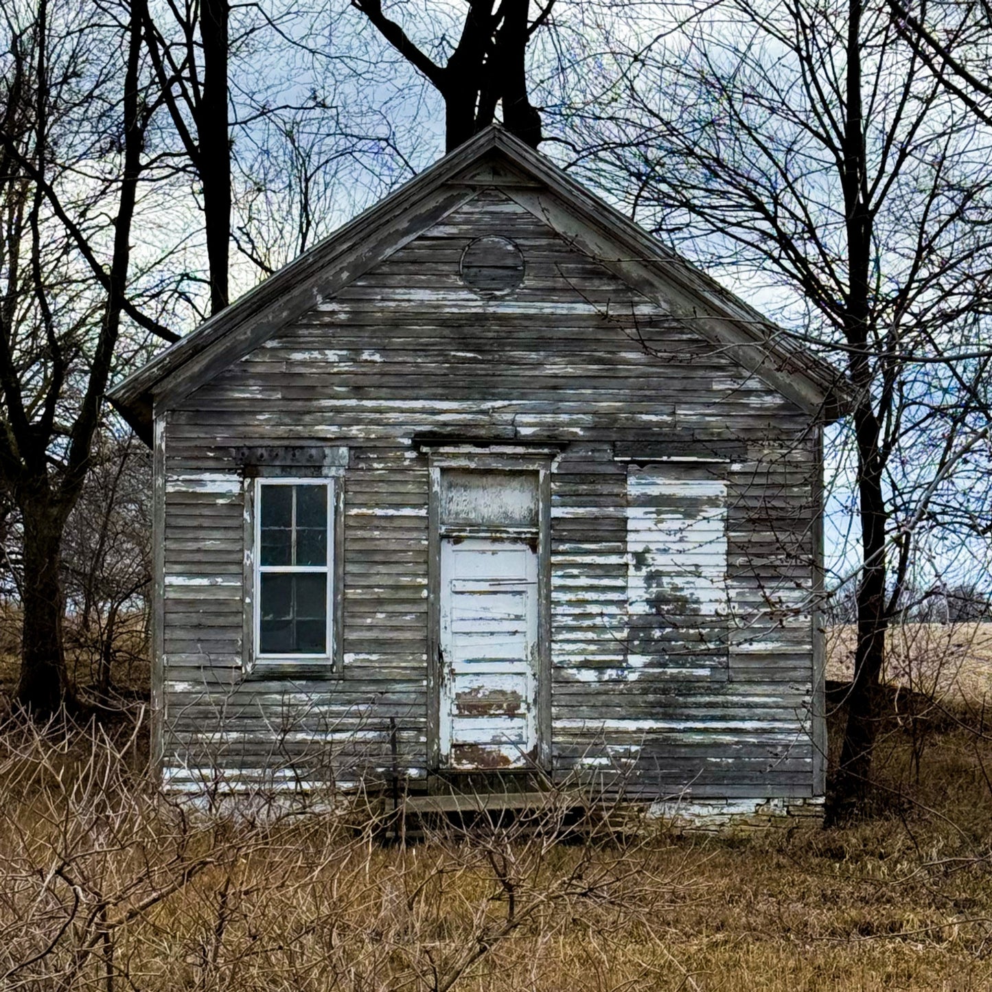 Little House in the Woods - Acrylic