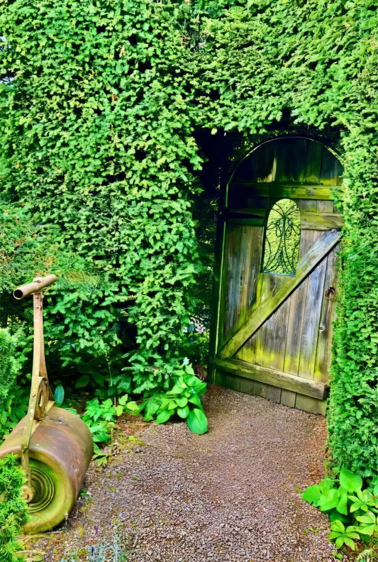 Secret Garden from the Inside - Acrylic