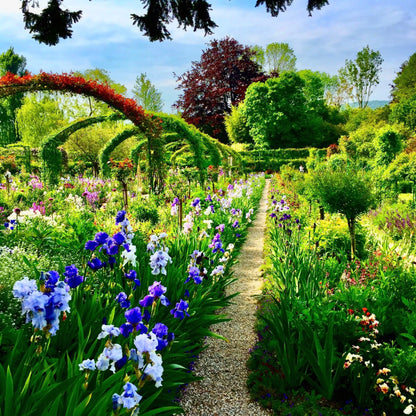 Craig's Stepping Stones - Fine Art