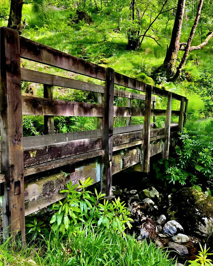 Craig's The Bridge of Sighs - Fine Art