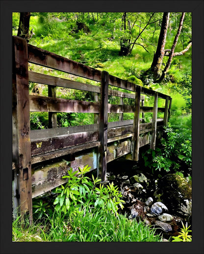 Craig's The Bridge of Sighs - Fine Art