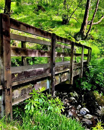 Craig's The Bridge of Sighs - Fine Art