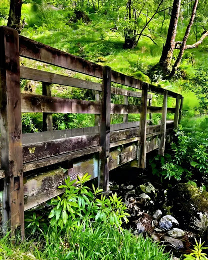 Welcoming Bridge Exploring Pitlochry Forest - Fine Art
