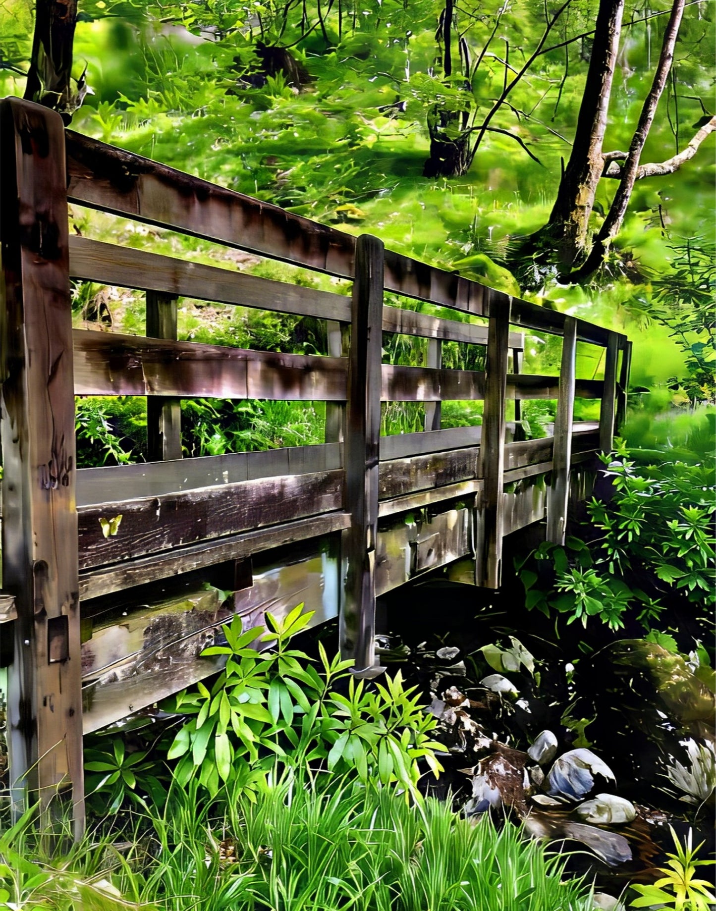 Craig's The Bridge of Sighs - Canvas