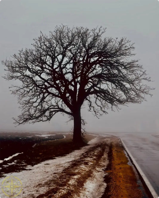 Tree in Fog - Metal
