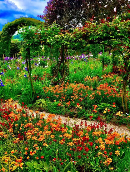 In Claude Monet's Garden: A Symphony in Orange - Acrylic