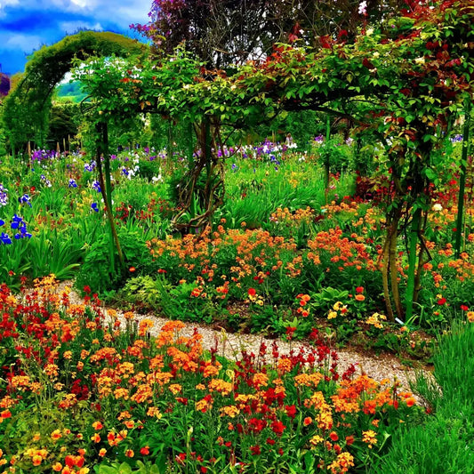 In Claude Monet's Garden: A Symphony in Orange - Canvas