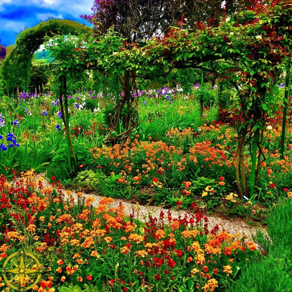 In Claude Monet's Garden: A Symphony in Orange - Canvas