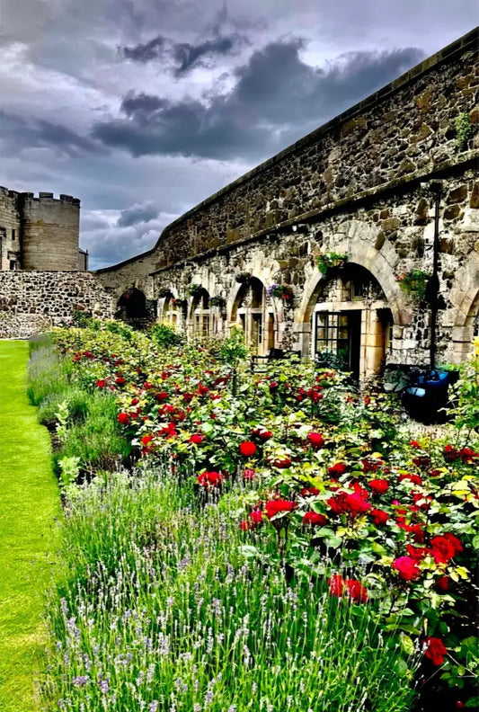 Gallery of Arches and Roses - Acrylic