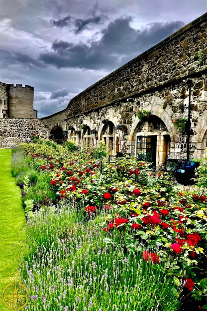 Gallery of Arches and Roses - Canvas