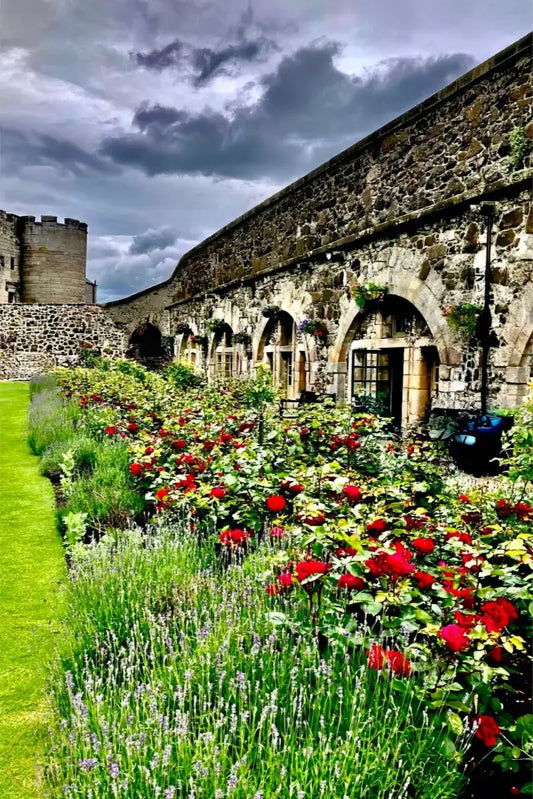 Gallery of Arches and Roses - Canvas
