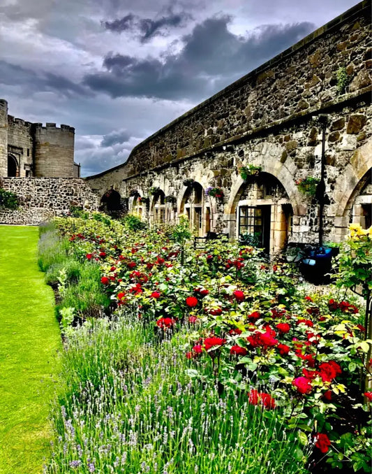 Gallery of Arches and Roses - Fine Art
