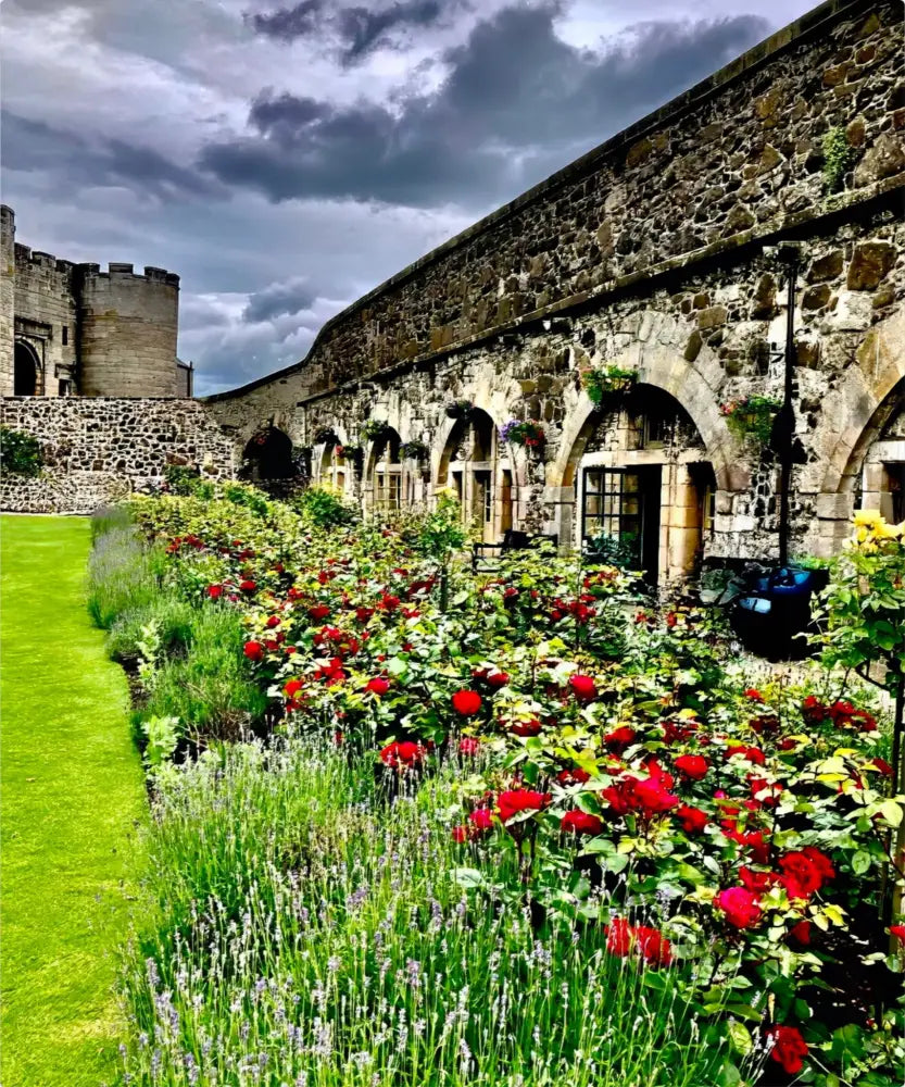 Gallery of Arches and Roses - Metal