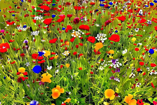 Kaleidoscope  of Late Spring Color  - Metal