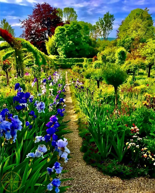 In Claude Monet's Garden: Path of Irises - Acrylic