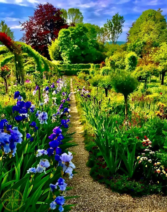 In Claude Monet's Garden: Path of Irises - Canvas