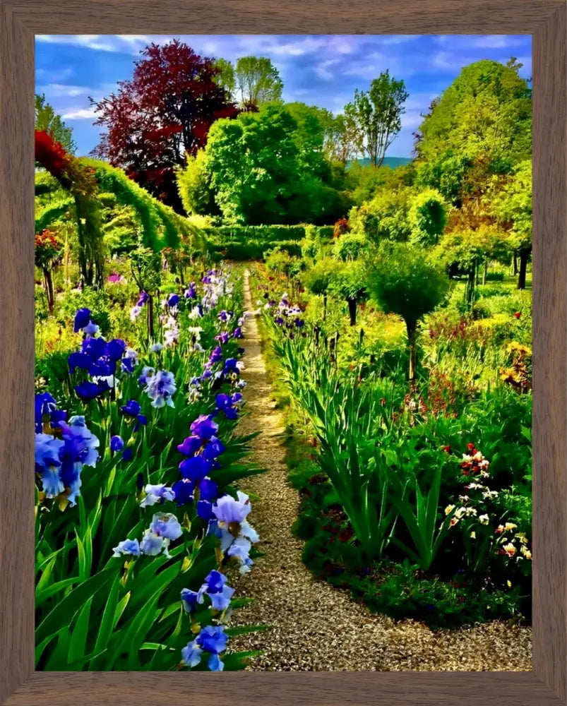 In Claude Monet's Garden: Path of Irises - Fine Art