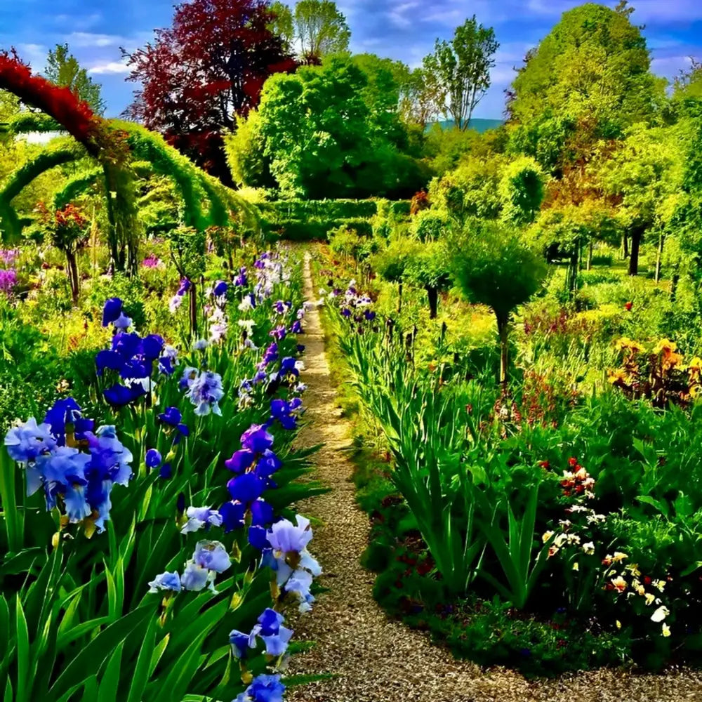 In Claude Monet's Garden: Path of Irises - Fine Art