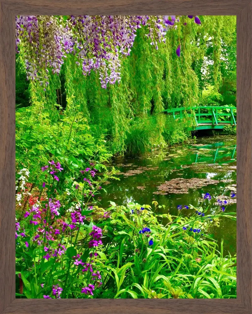 Where the Colors Breathe in Brushstrokes - Claude Monet's Water Garden - Fine Art