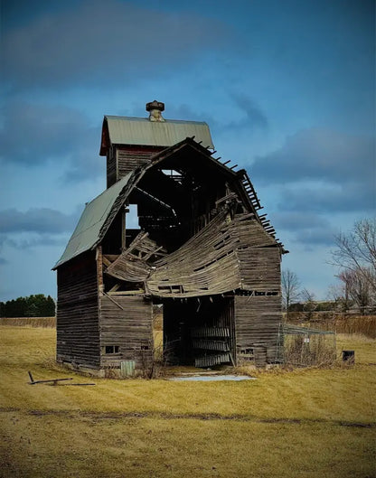 Fallen. Forgotten. - Fine Art