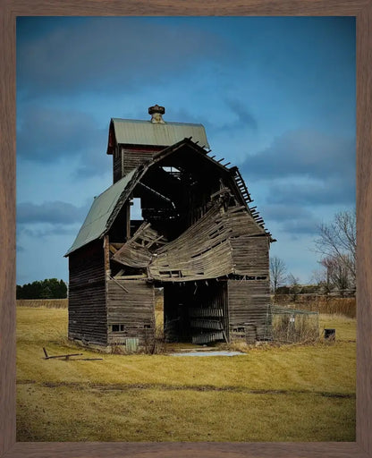 Fallen. Forgotten. - Fine Art