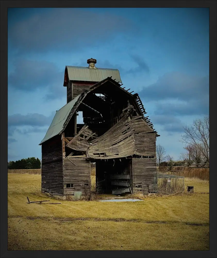 Fallen. Forgotten. - Fine Art