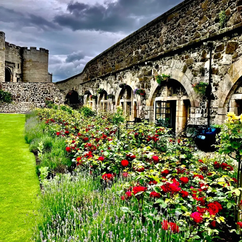 Gallery of Arches and Roses - Fine Art