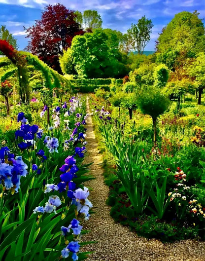In Claude Monet's Garden: Path of Irises - Fine Art