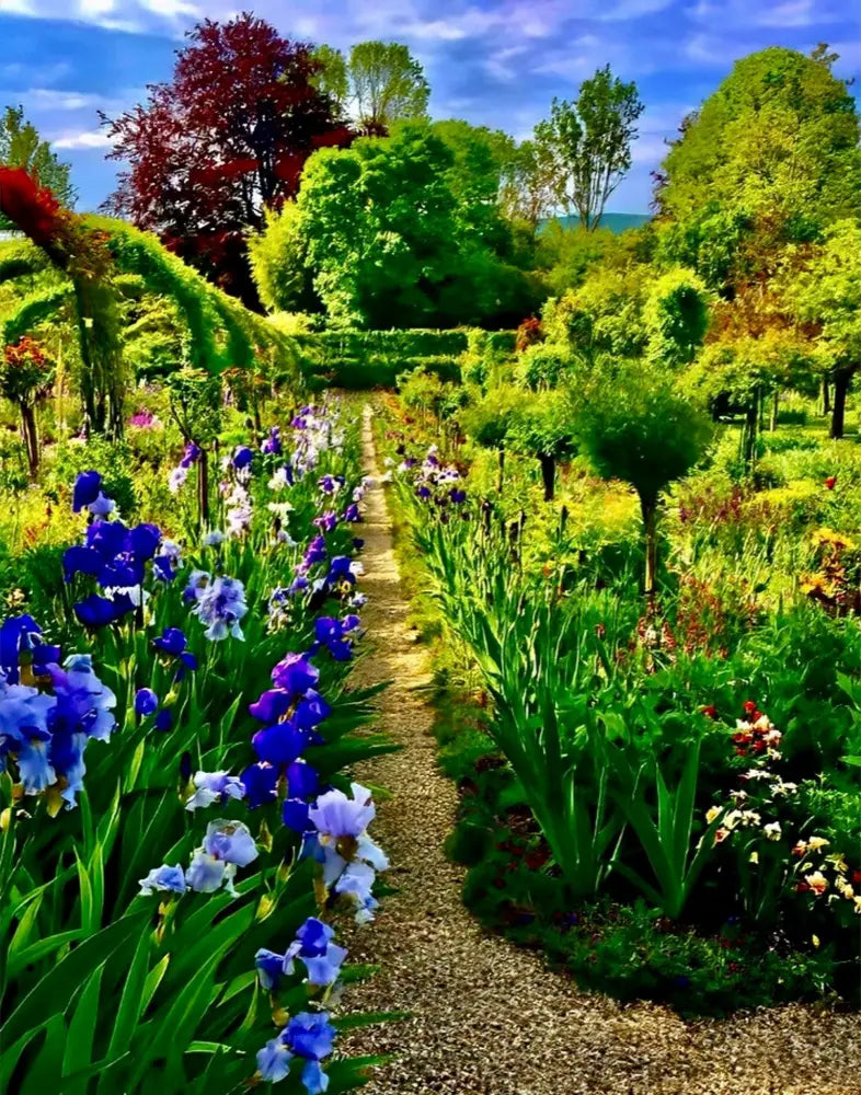 In Claude Monet's Garden: Path of Irises - Fine Art