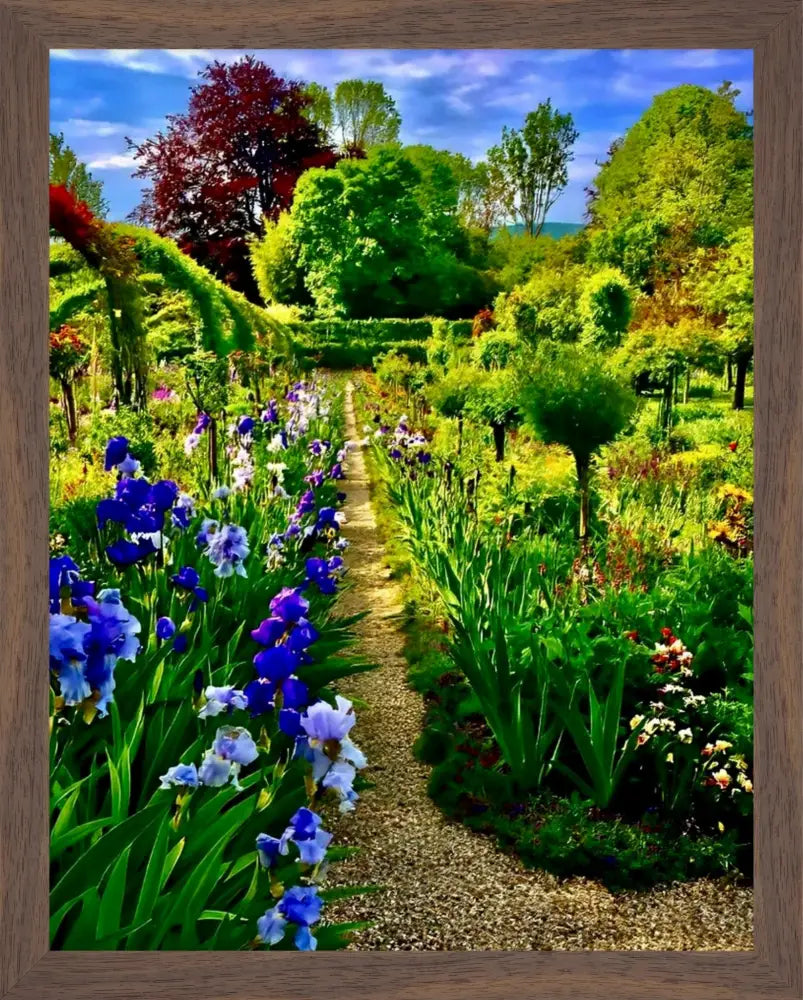 In Claude Monet's Garden: Path of Irises - Fine Art